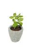Product image 2 of the product “Planter, round, smooth, natural stone (Basanite), stonemasonry ”